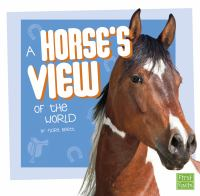 A_horse_s_view_of_the_world