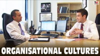 Organizational_cultures